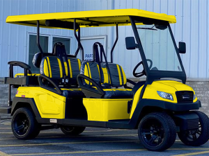 golf cart rental jersey city, jersey city golf cart rental